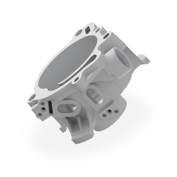 Pump housing (PumpenGehäuse)